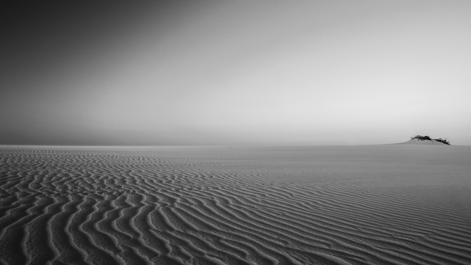 Landscape Nature Photographer Black and White Desert Colombia